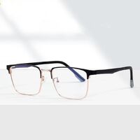 Оправа металлическая MAMO H17007