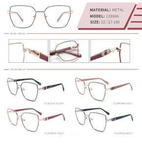 Оправа металлическая с флексом LE8846-DA