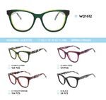 Plastic acetate eyeglasses frame with spring hinges WD1612
