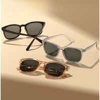 Plastic sunglasses KY8082太阳镜