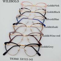 Metal + TR90 ultrathin women's frames with spring hinges Wilibolo TR3068